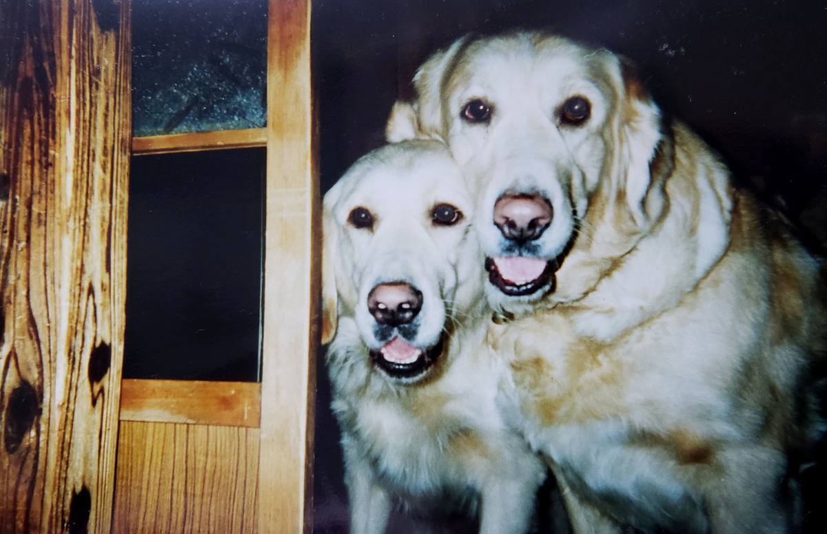 f:id:masami_takasu:20190801075740j:plain