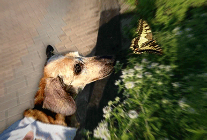 f:id:masami_takasu:20190805010920g:plain f:id:masami_takasu:20190805010920g:plain