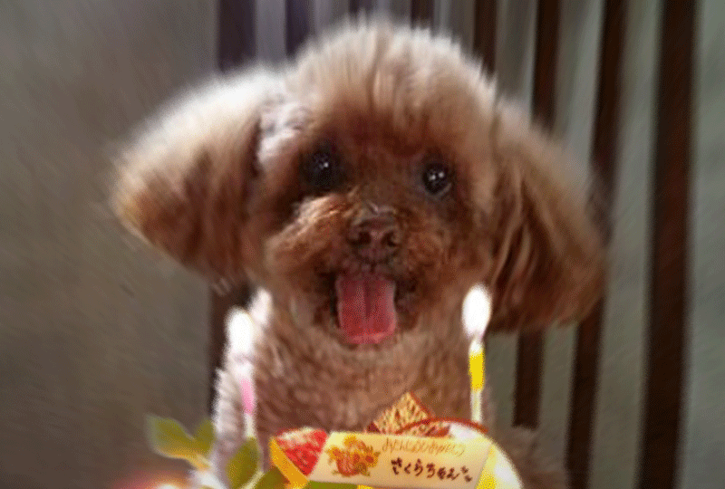 f:id:masami_takasu:20190811084041g:plain