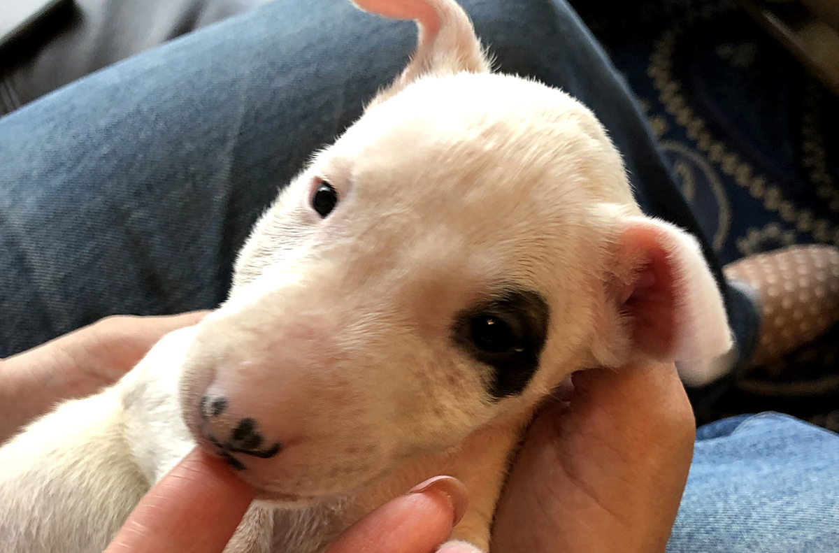 f:id:masami_takasu:20190814170944j:plain f:id:masami_takasu:20190814170944j:plain
