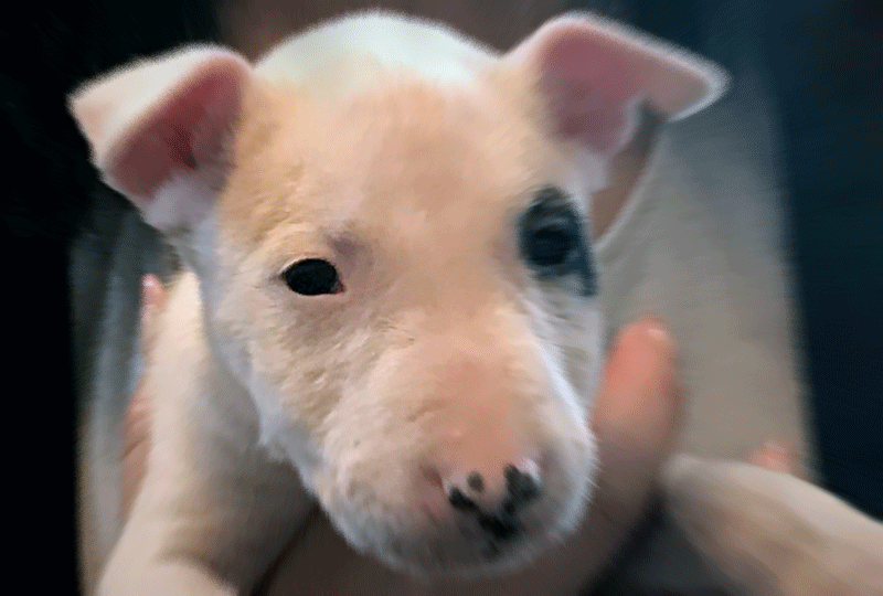 f:id:masami_takasu:20190818074601g:plain