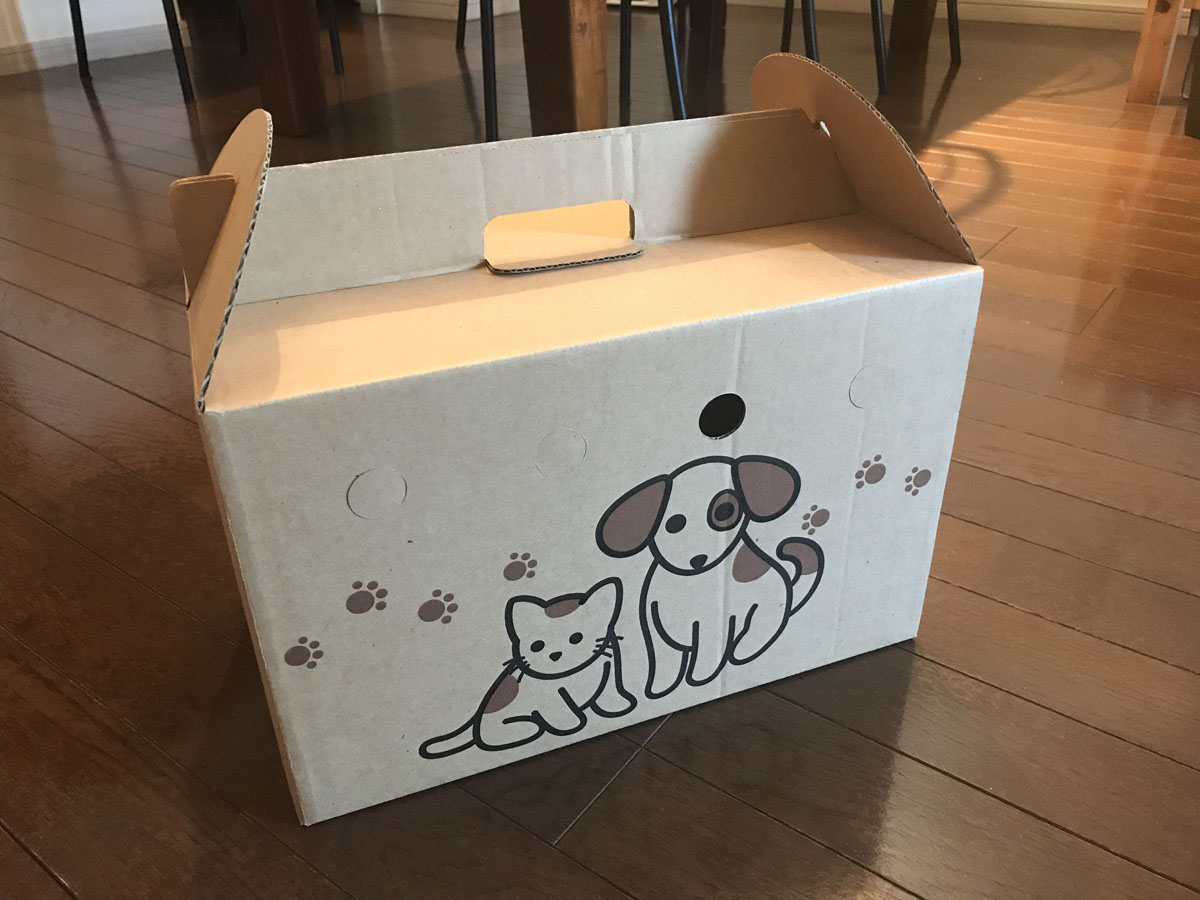 f:id:masami_takasu:20190818075316j:plain