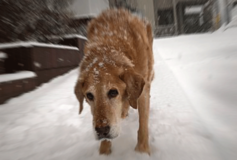 f:id:masami_takasu:20190818080301g:plain