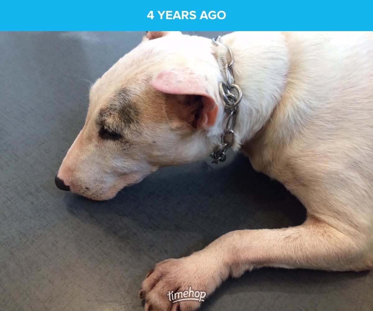 f:id:masami_takasu:20190818080926j:plain