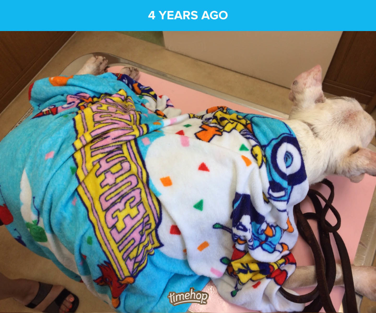 f:id:masami_takasu:20190818080939j:plain