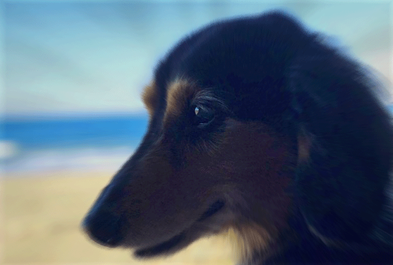 f:id:masami_takasu:20190818081107g:plain