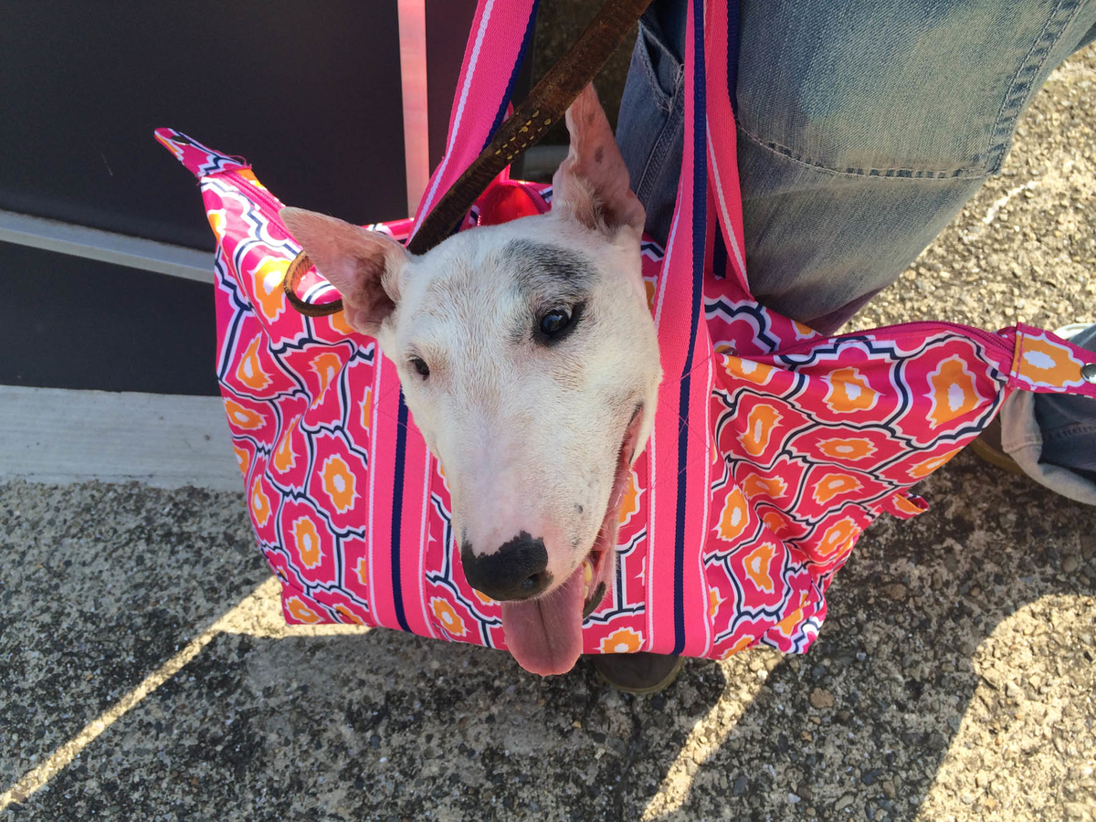 f:id:masami_takasu:20190818081926j:plain