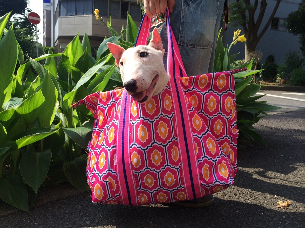 f:id:masami_takasu:20190818081934j:plain