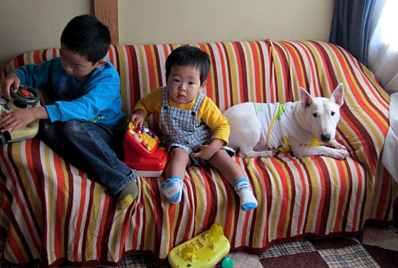 f:id:masami_takasu:20190819005022j:plain