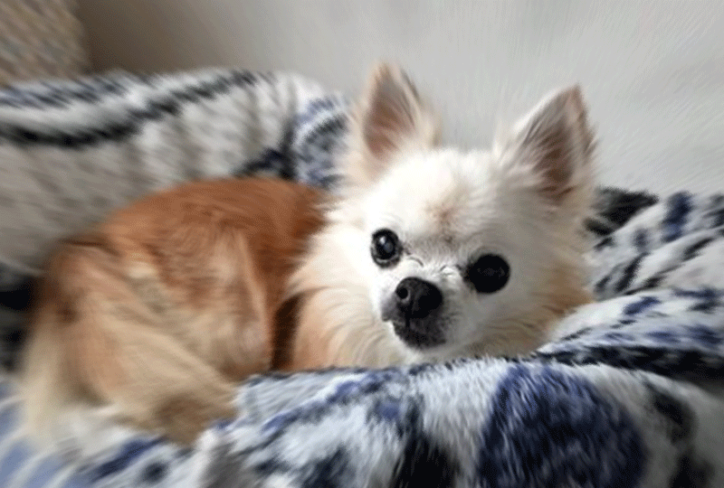 f:id:masami_takasu:20190906082957g:plain