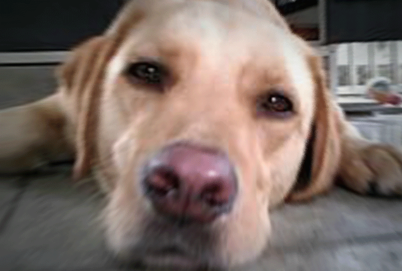 f:id:masami_takasu:20190906084557g:plain