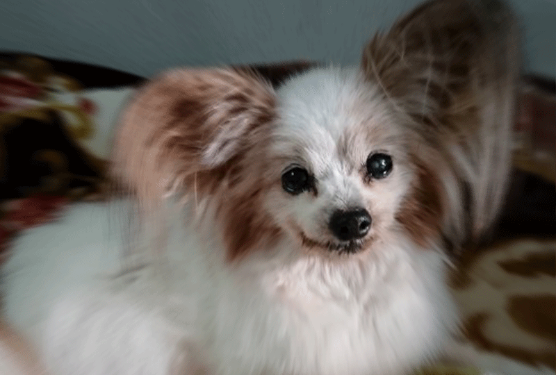 f:id:masami_takasu:20190906084907g:plain