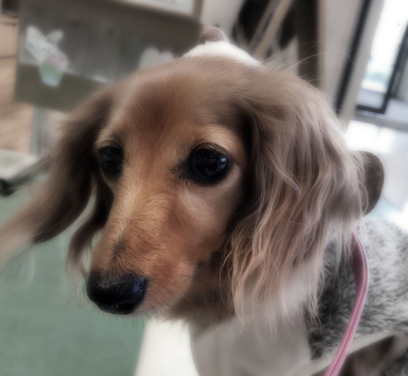 f:id:masami_takasu:20190913154902j:plain f:id:masami_takasu:20190913154902j:plain
