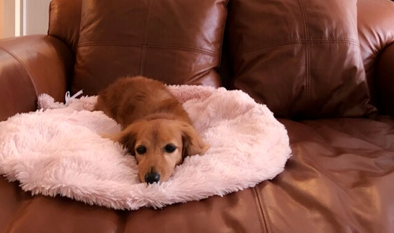 f:id:masami_takasu:20190913155110j:plain