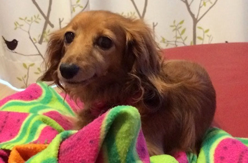 f:id:masami_takasu:20190913160142j:plain