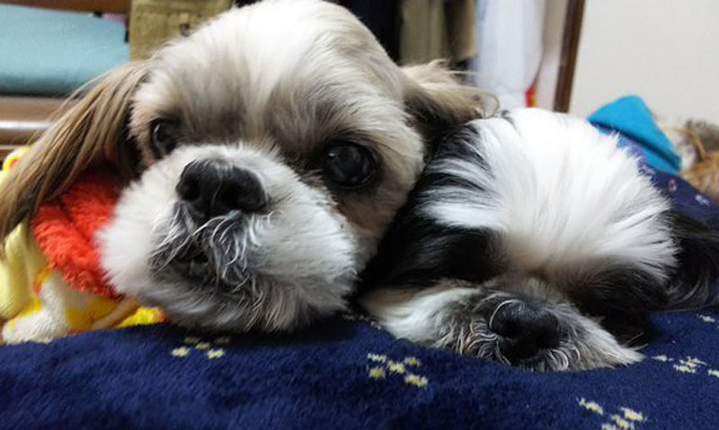 f:id:masami_takasu:20190917163354j:plain