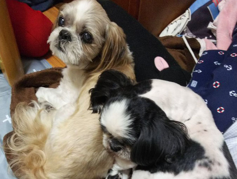 f:id:masami_takasu:20190917164031j:plain