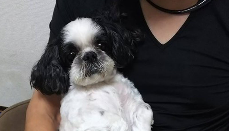 f:id:masami_takasu:20190917164101j:plain