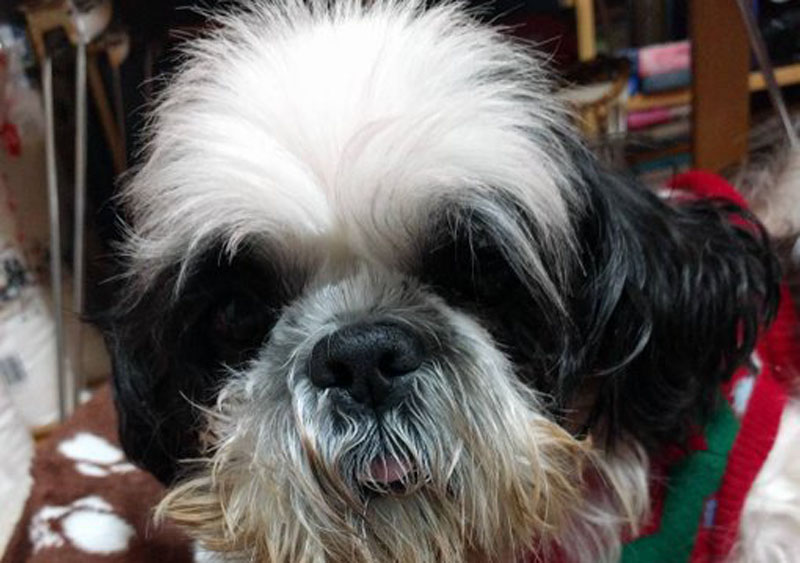 f:id:masami_takasu:20190917164319j:plain