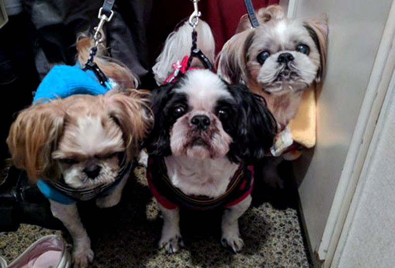 f:id:masami_takasu:20190917164637j:plain