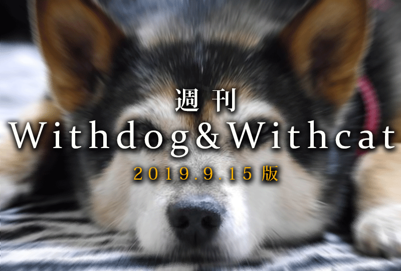 f:id:masami_takasu:20190922070459g:plain