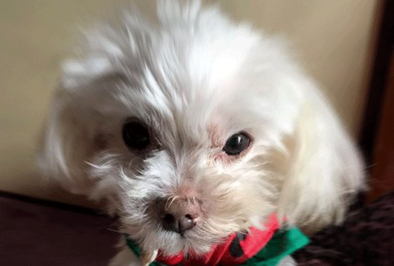 f:id:masami_takasu:20190922071028g:plain