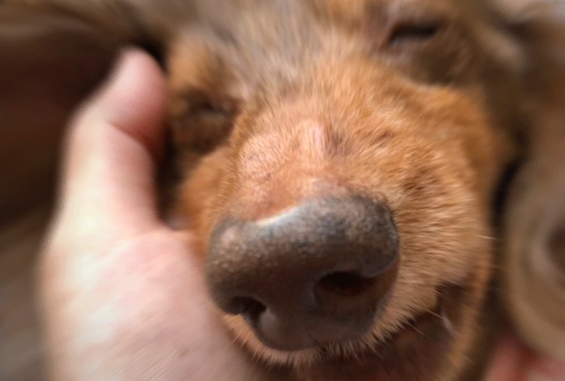 f:id:masami_takasu:20190922071225g:plain