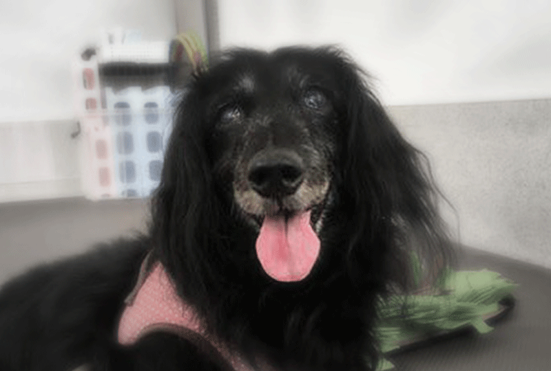 f:id:masami_takasu:20190922072112g:plain