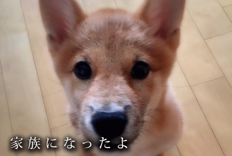 f:id:masami_takasu:20190923224652g:plain