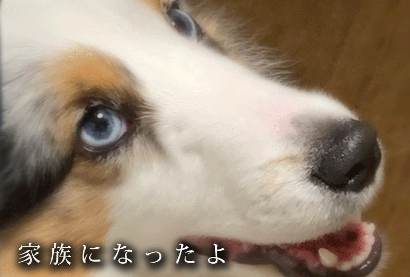 f:id:masami_takasu:20190924113351g:plain
