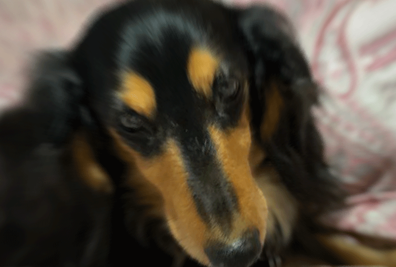 f:id:masami_takasu:20190926193058g:plain