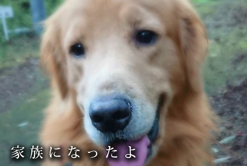 f:id:masami_takasu:20190928170052g:plain