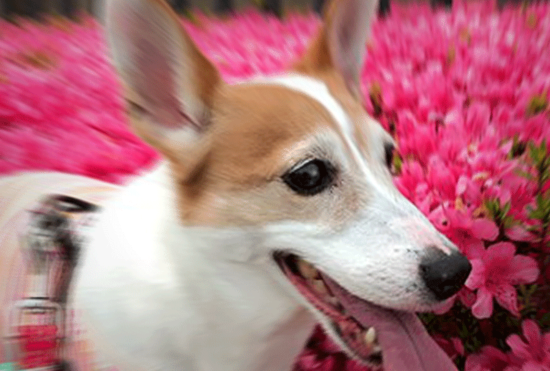 f:id:masami_takasu:20190930072533g:plain