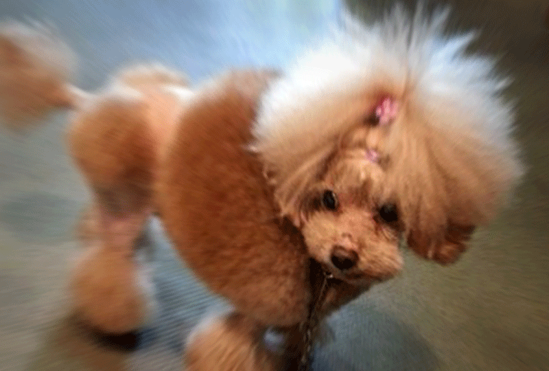 f:id:masami_takasu:20191006020253g:plain