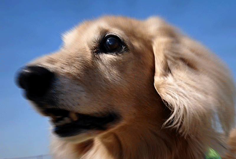 f:id:masami_takasu:20191006020738g:plain