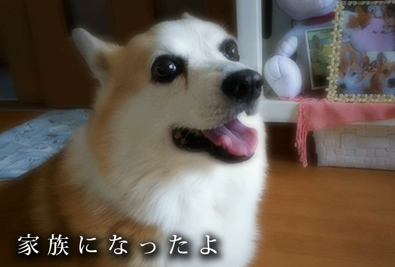 f:id:masami_takasu:20191011111624g:plain