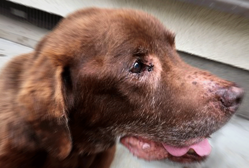 f:id:masami_takasu:20191013011554g:plain