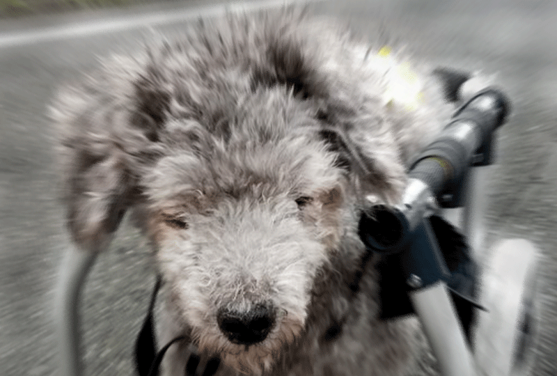 f:id:masami_takasu:20191020082717g:plain