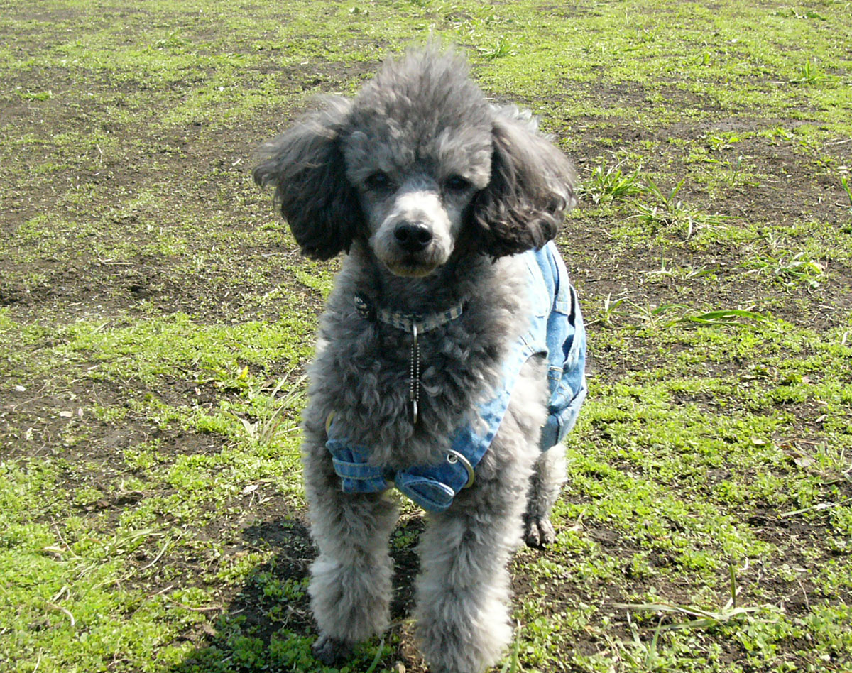 f:id:masami_takasu:20191021121639j:plain