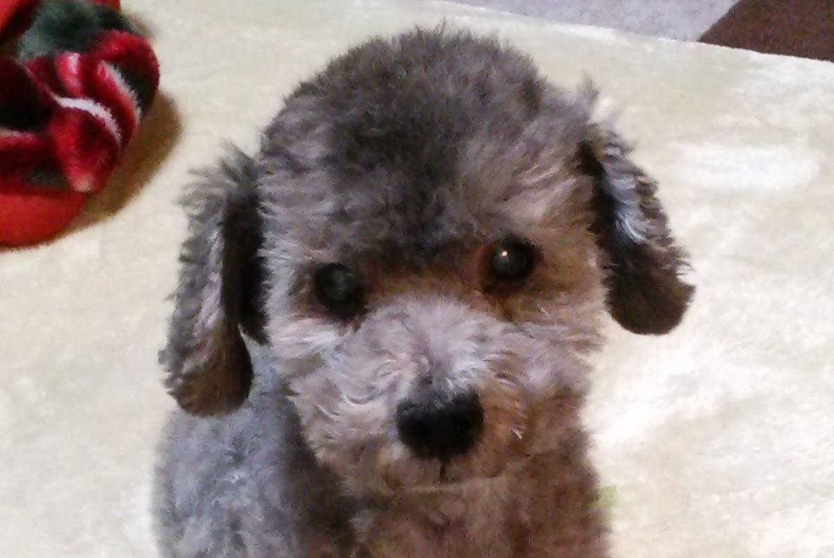 f:id:masami_takasu:20191021122059j:plain