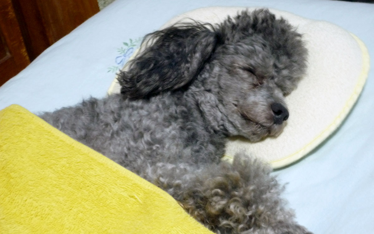 f:id:masami_takasu:20191021122713j:plain