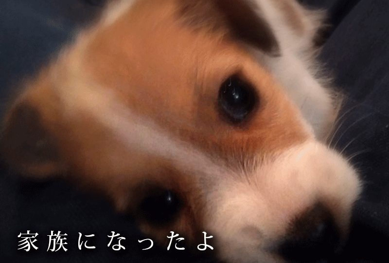 f:id:masami_takasu:20191102132046g:plain