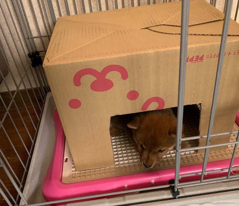 f:id:masami_takasu:20191116230602j:plain