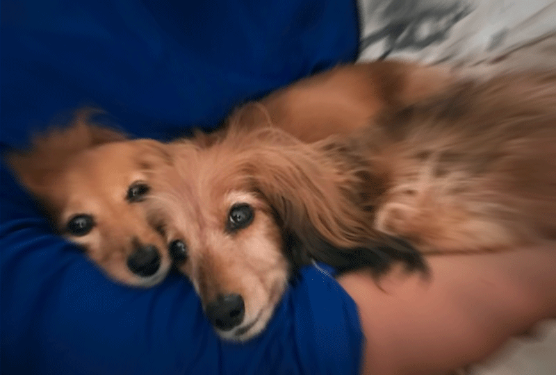 f:id:masami_takasu:20191127024812g:plain