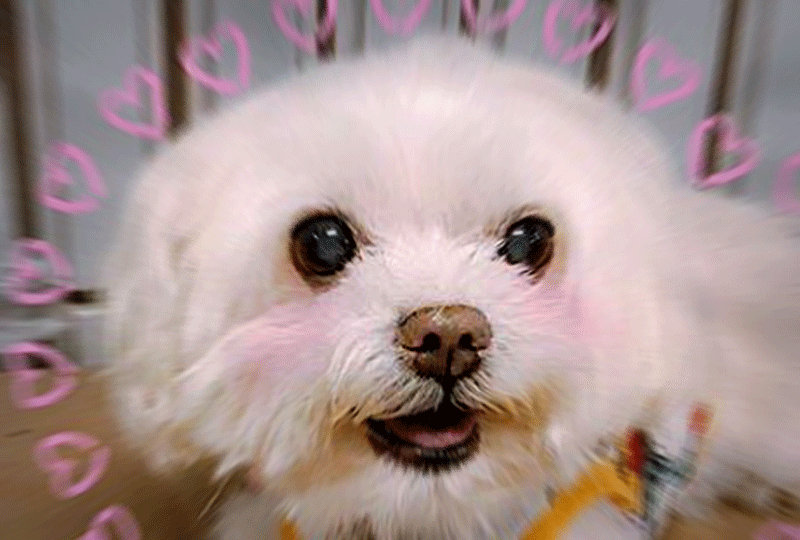 f:id:masami_takasu:20191127141548g:plain f:id:masami_takasu:20191127141548g:plain