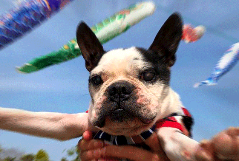 f:id:masami_takasu:20191127160319g:plain