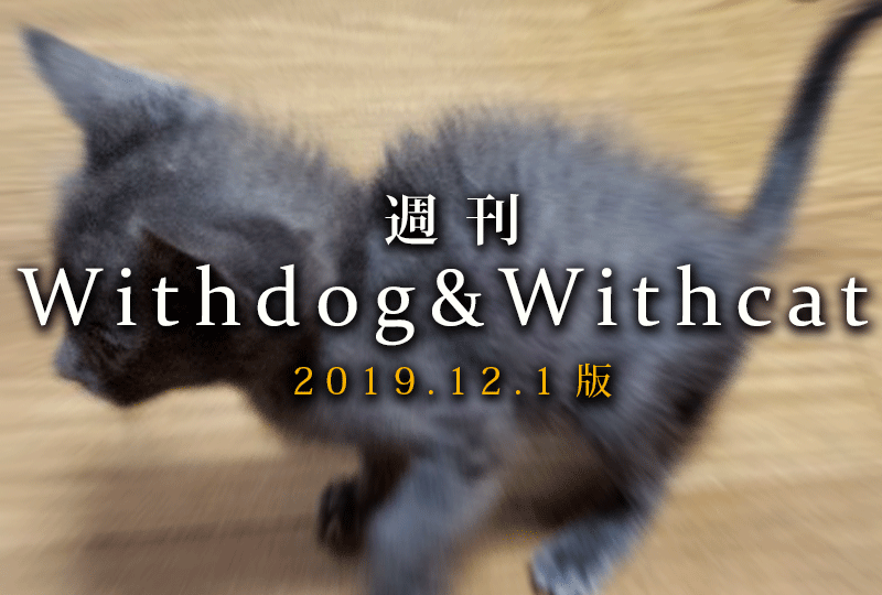 f:id:masami_takasu:20191208083603g:plain