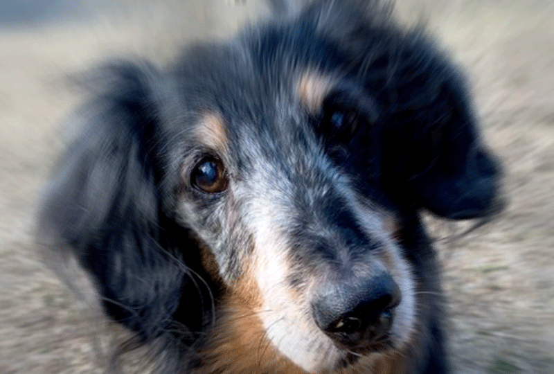 f:id:masami_takasu:20191208084704g:plain