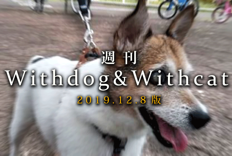 f:id:masami_takasu:20191214090150g:plain