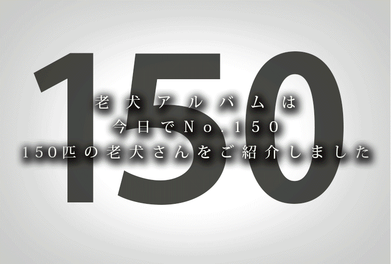 f:id:masami_takasu:20191214090500g:plain